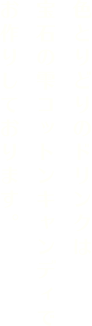 色とりどりのドリンクは宝石の雫コットンキャンディでお作りしております。